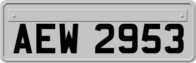 AEW2953