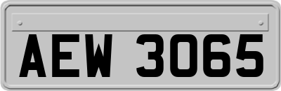 AEW3065