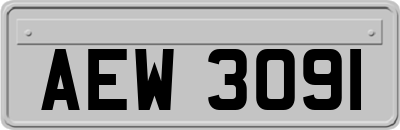 AEW3091