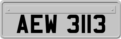 AEW3113