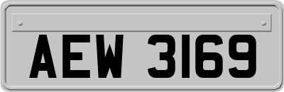 AEW3169