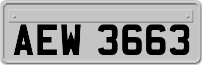AEW3663