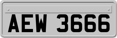 AEW3666