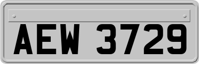 AEW3729