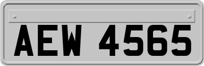 AEW4565
