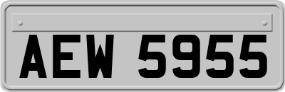 AEW5955