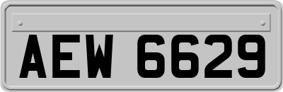 AEW6629