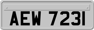 AEW7231