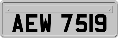 AEW7519