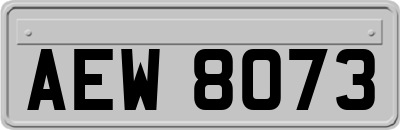 AEW8073