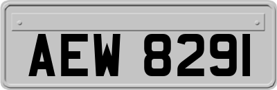 AEW8291