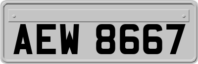 AEW8667