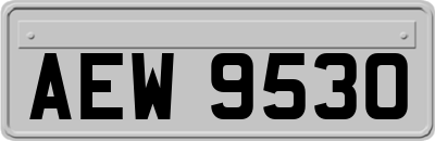 AEW9530
