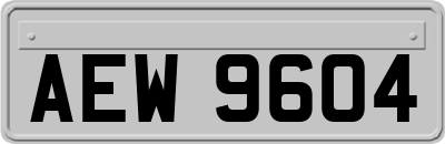 AEW9604