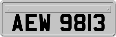 AEW9813