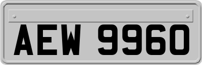 AEW9960