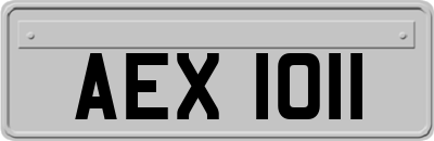 AEX1011