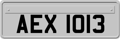 AEX1013