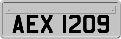 AEX1209