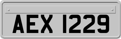 AEX1229