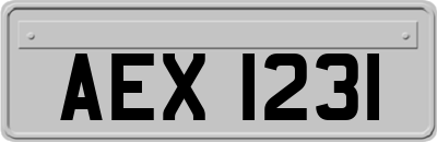 AEX1231