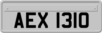 AEX1310