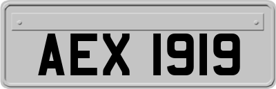 AEX1919