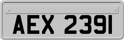 AEX2391