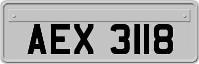 AEX3118