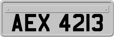 AEX4213