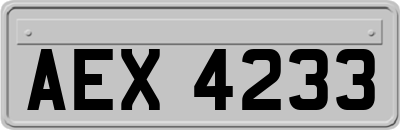 AEX4233