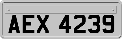 AEX4239