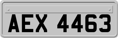 AEX4463