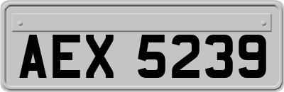 AEX5239