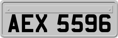 AEX5596