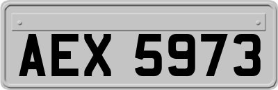 AEX5973