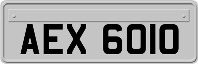 AEX6010