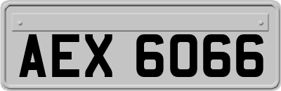 AEX6066