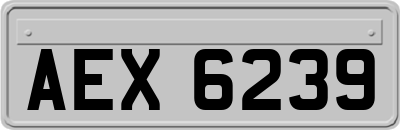 AEX6239