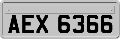 AEX6366
