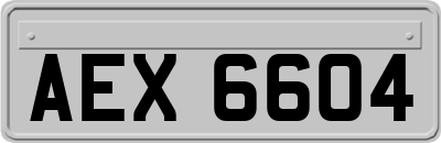 AEX6604