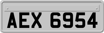 AEX6954