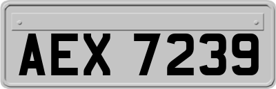AEX7239