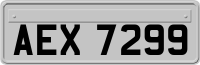 AEX7299
