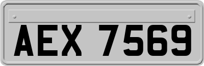 AEX7569