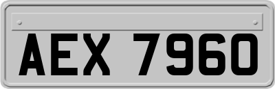 AEX7960