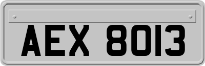 AEX8013