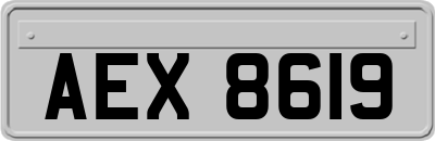 AEX8619