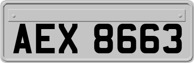 AEX8663