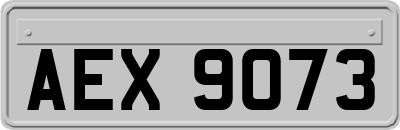 AEX9073